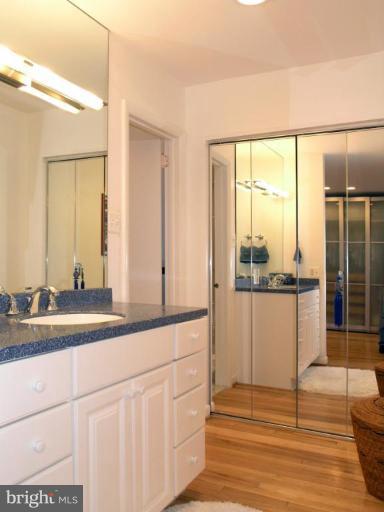 2023 Sarazen Place Reston, VA 20191 - Photo 29 of 30 a bathroom with a sink and a mirror