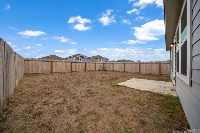 a view of a backyard with a large tree