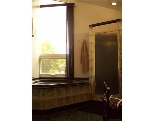189 Burrell Hill Road Penn, PA 15675 - Photo 13 of 16 Master Bath/Spa.