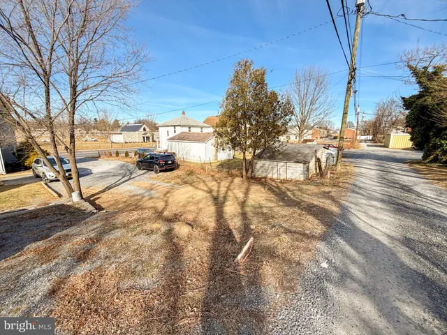 a view of a yard with trees