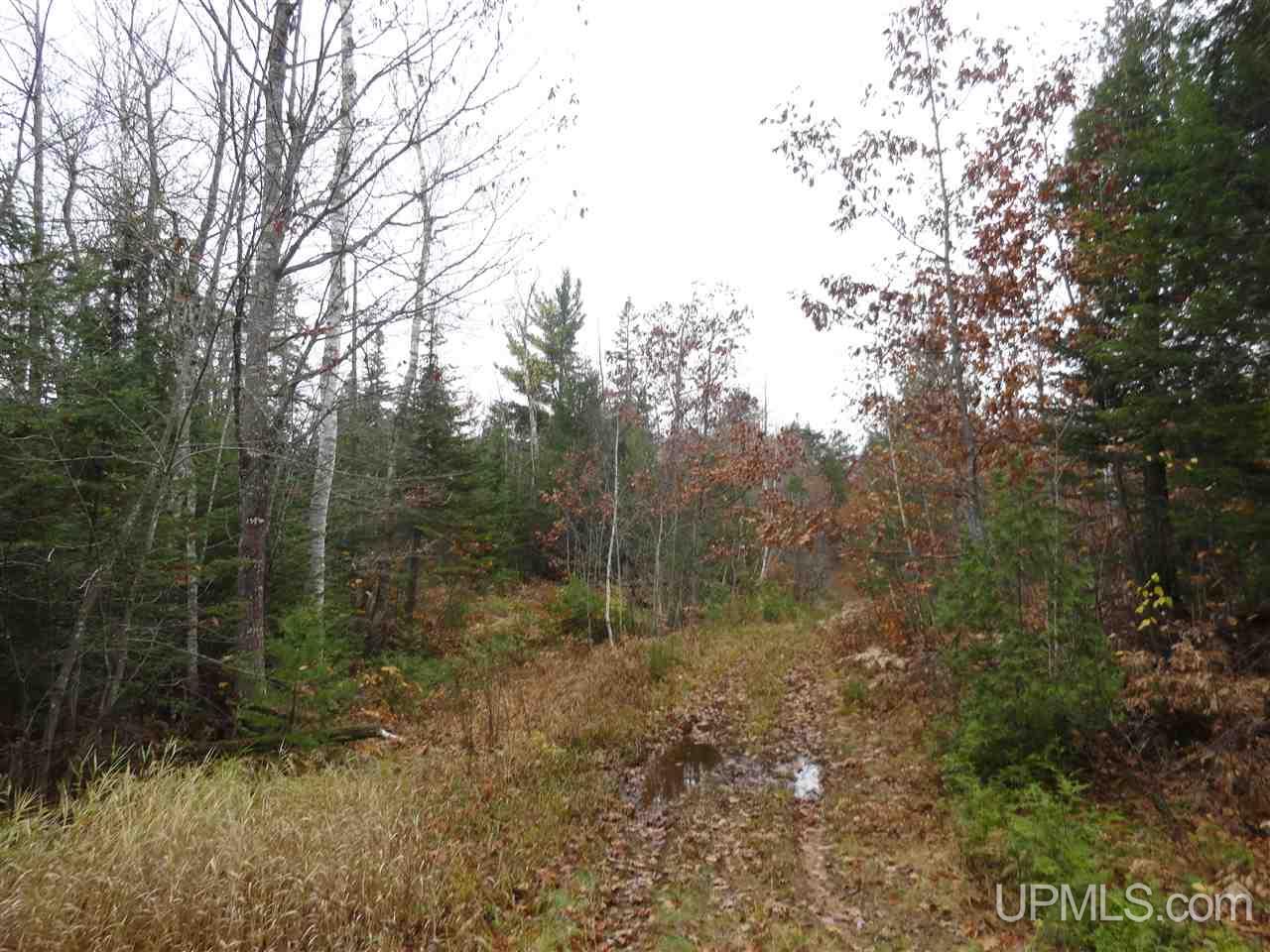 510 Rd Marquette Mi 49855 Road Negaunee, MI 49866 - Photo 17 of 26