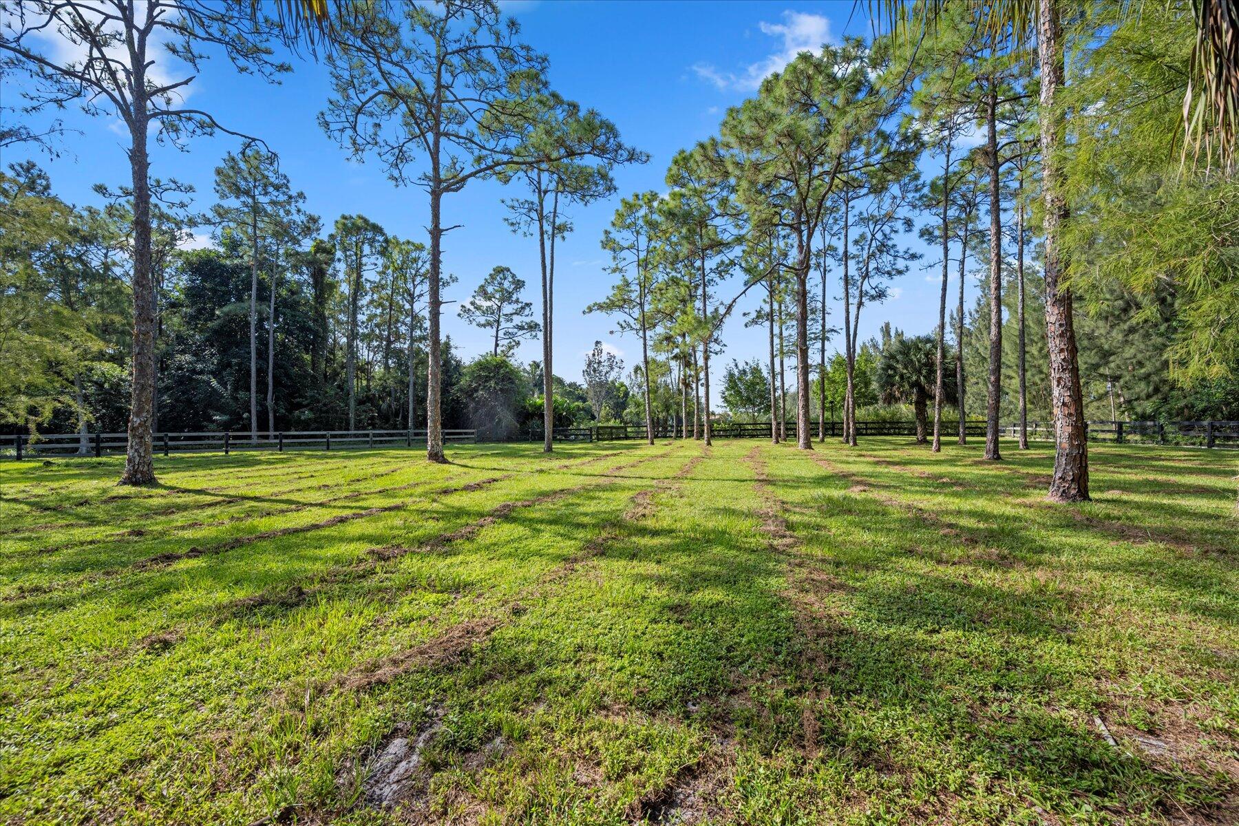 5533 Duckweed Road Lake Worth, FL 33449 - Photo 63 of 76 44-DSC_0994