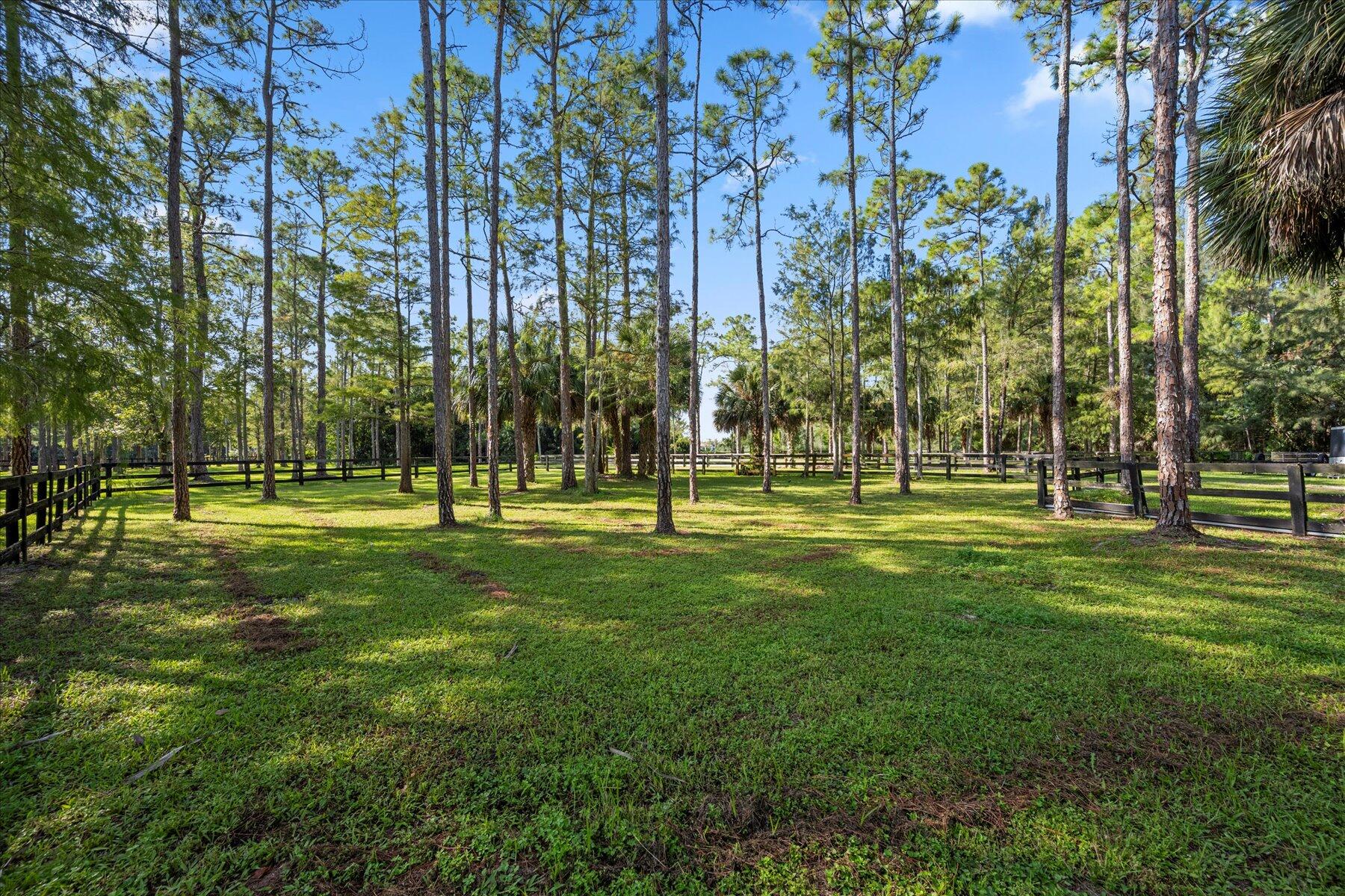 5533 Duckweed Road Lake Worth, FL 33449 - Photo 66 of 76 47-DSC_0979