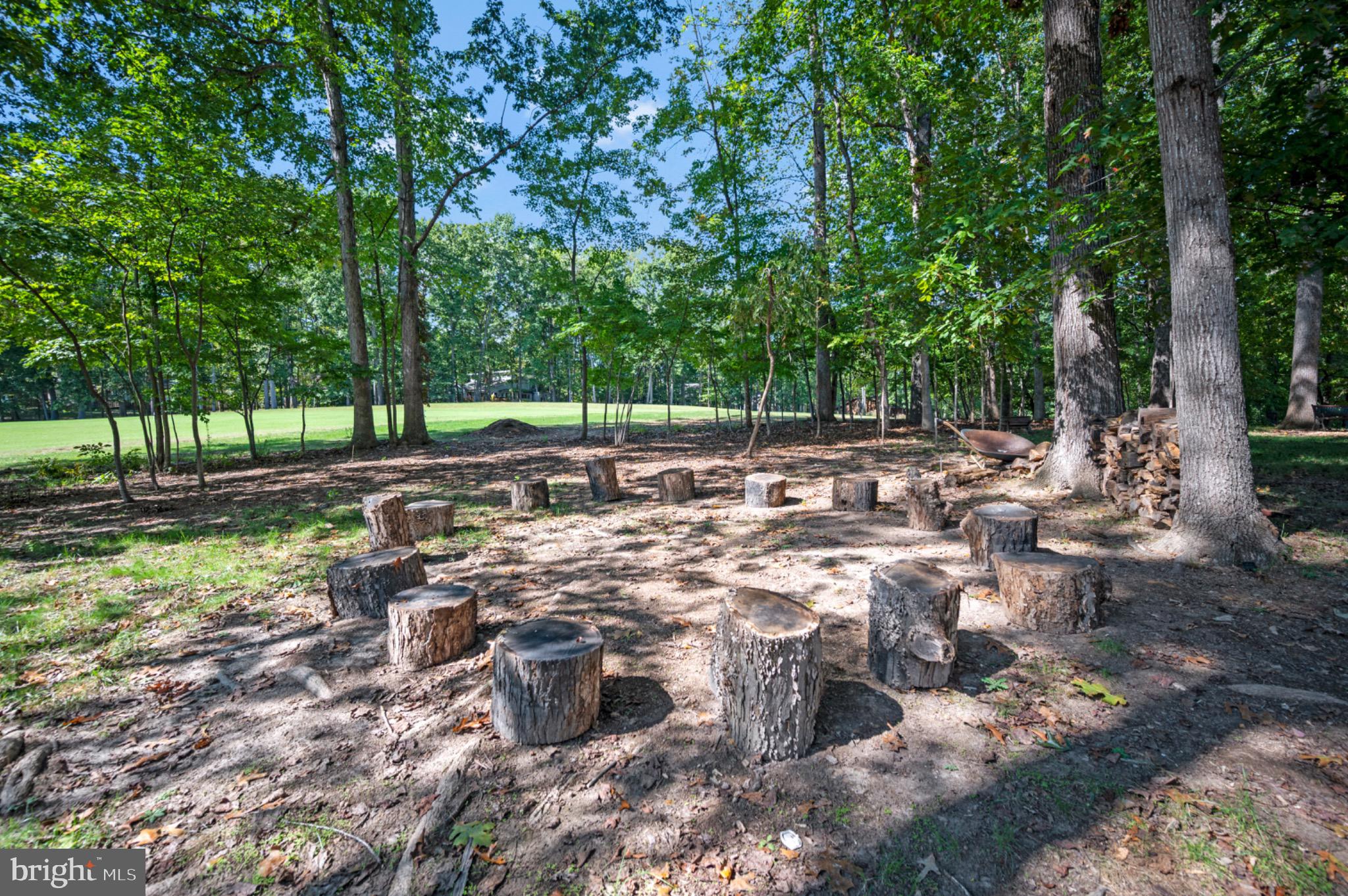 420 Birdie Road Locust Grove, VA 22508 - Photo 39 of 53 a view of a yard with a tree