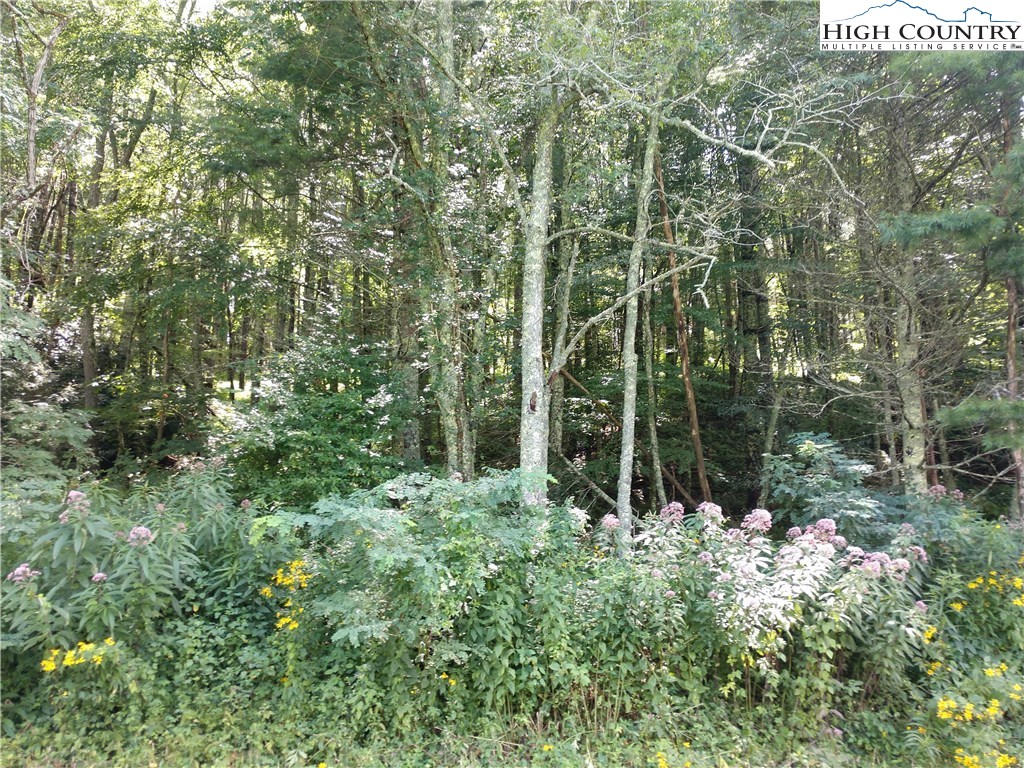 6887 Railroad Grade Road Todd, NC 28684 - Photo 11 of 15 Gallery Image 11