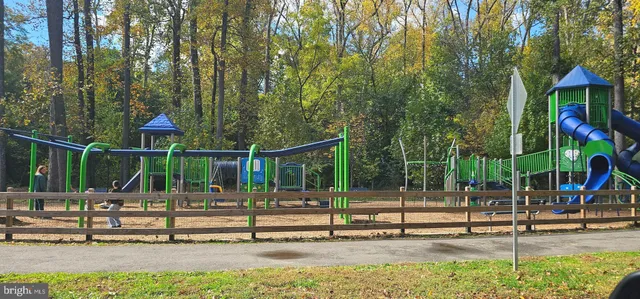 a view of tall trees