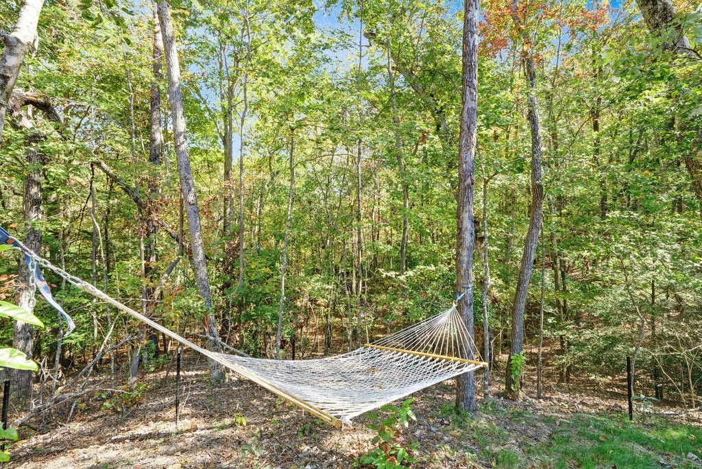 2266 Timberwood Trace Monteagle, TN 37356 - Photo 43 of 47 a view of a backyard