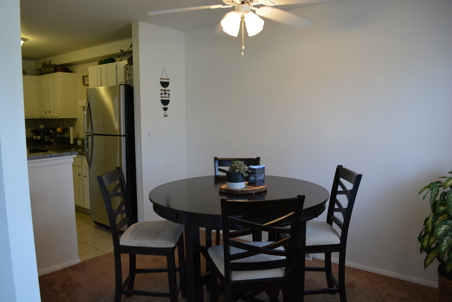 924 Ridge Square, Unit 106 Elk Grove Village, IL 60007 - Photo 3 of 8