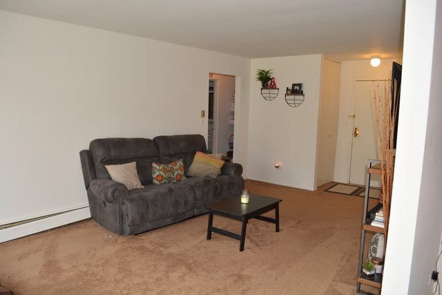 924 Ridge Square, Unit 106 Elk Grove Village, IL 60007 - Photo 4 of 8