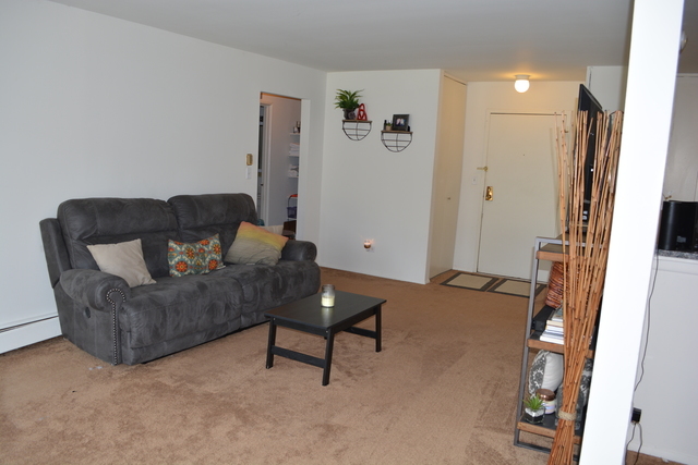 924 Ridge Square, Unit 106 Elk Grove Village, IL 60007 - Photo 5 of 8