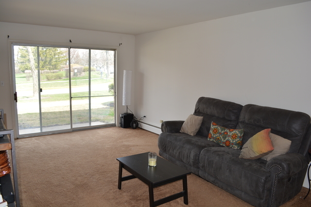 924 Ridge Square, Unit 106 Elk Grove Village, IL 60007 - Photo 6 of 8