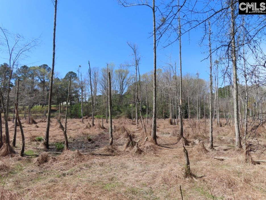1672 Dixired Road Leesville, SC 29070 - Photo 52 of 67