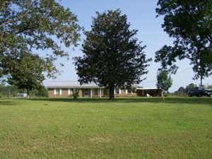 999 Pleasant Hill Road Lena, MS 39094 - Photo 1 of 1 Photo 1