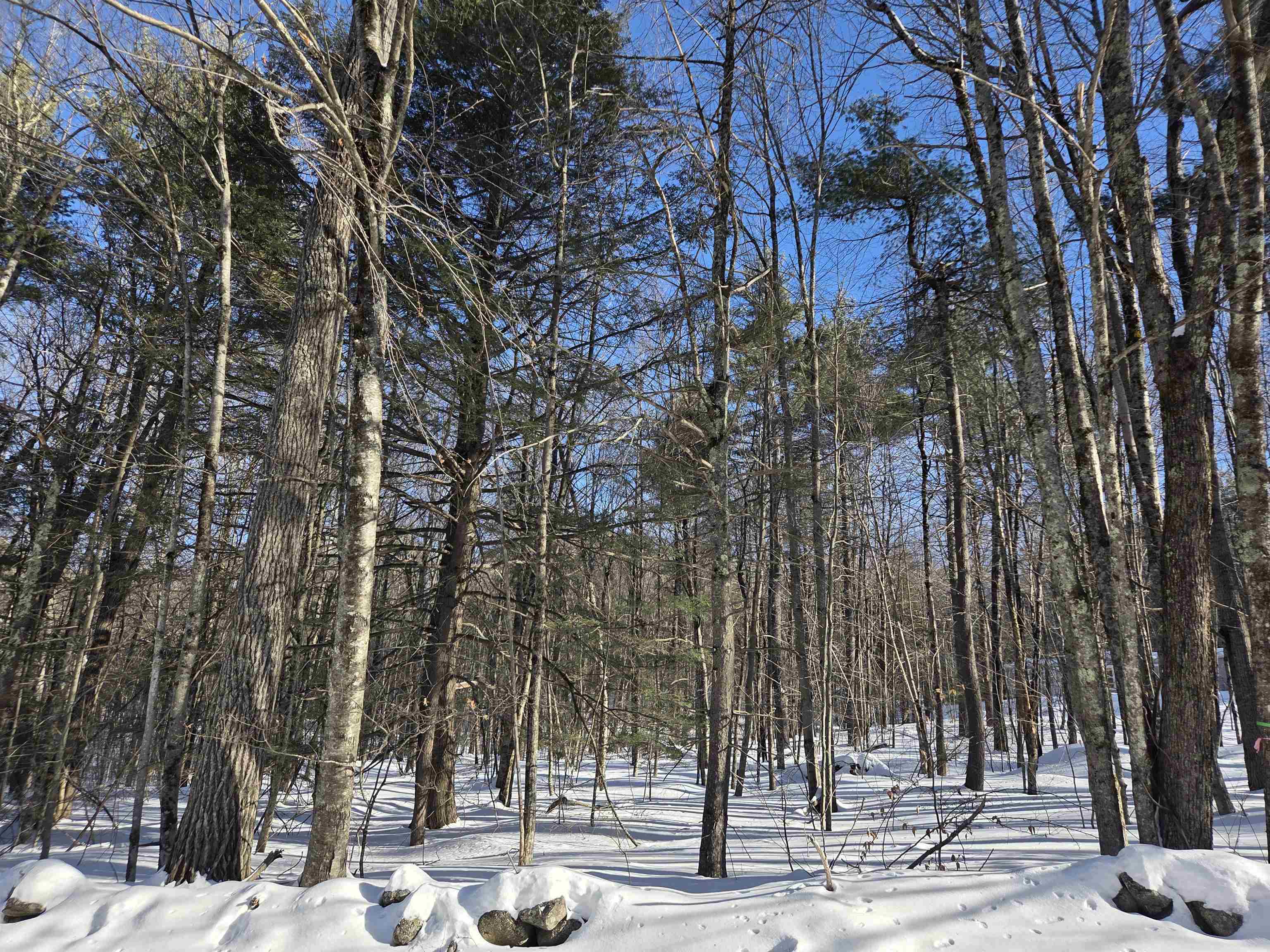 164-18 Mason Road Milton, NH 03851 - Photo 2 of 3