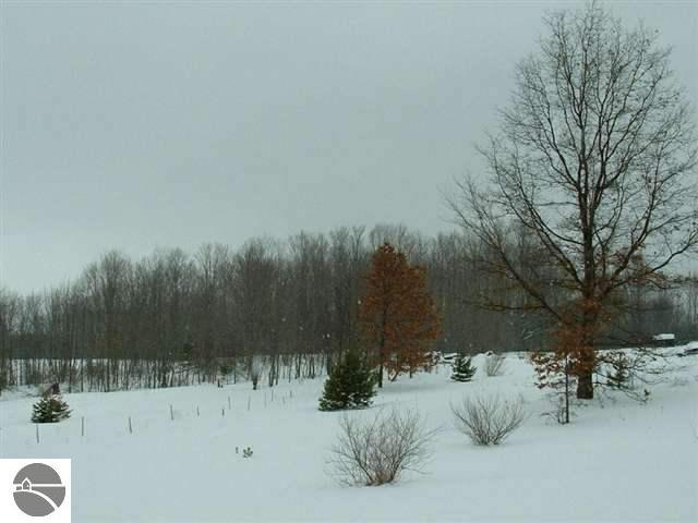 8530 East 1 Mile Road Luther, MI 49656 - Photo 2 of 8 1700558-2.JPG