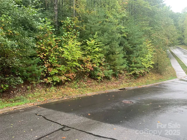 a view of a yard with a tree