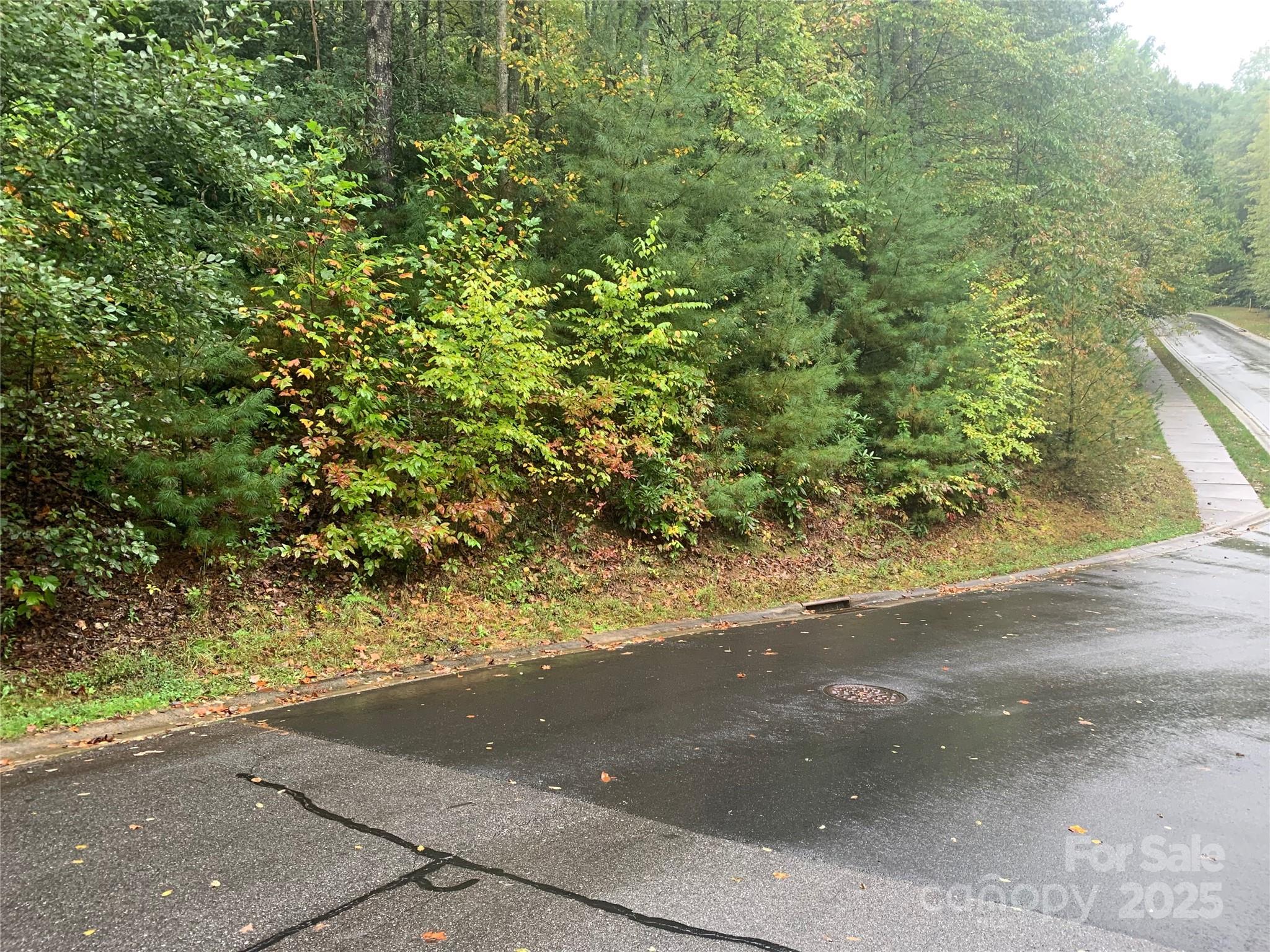 a view of a yard with a tree