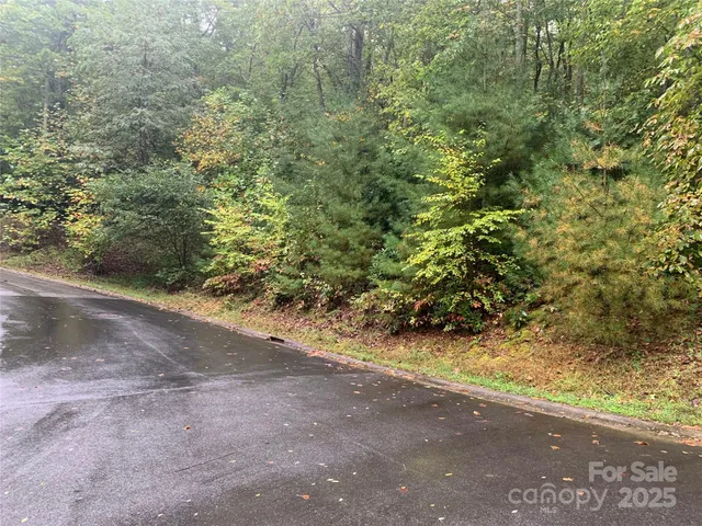 a view of a yard with a tree
