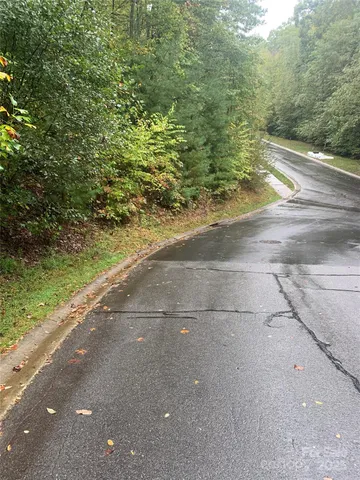 a view of a yard with a trees
