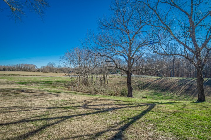 391 Oakley Allons Road Allons, TN 38541 - Photo 29 of 35 a view of a yard with an house