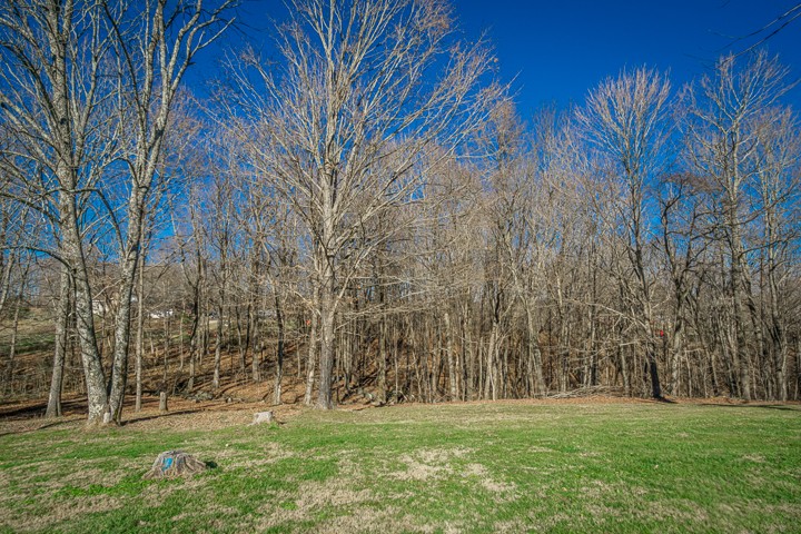 391 Oakley Allons Road Allons, TN 38541 - Photo 31 of 35 a backyard of a house with lots of green space