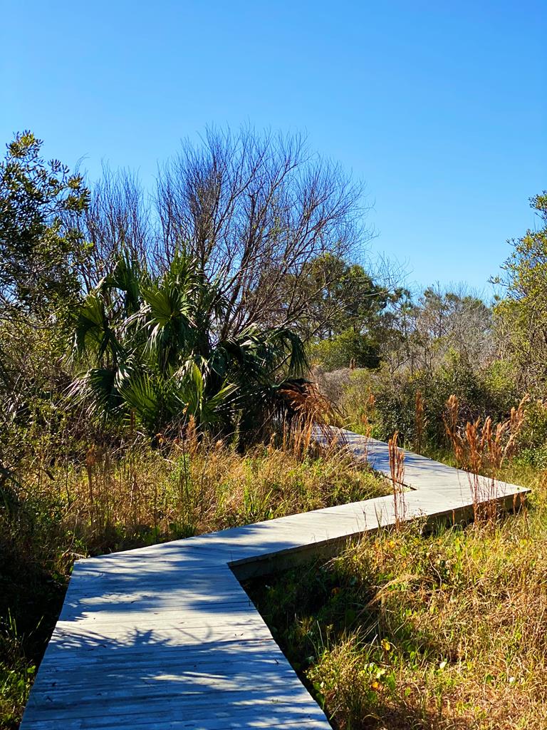 7 McCosh Mill Road Port St. Joe, FL 32456 - Photo 15 of 27