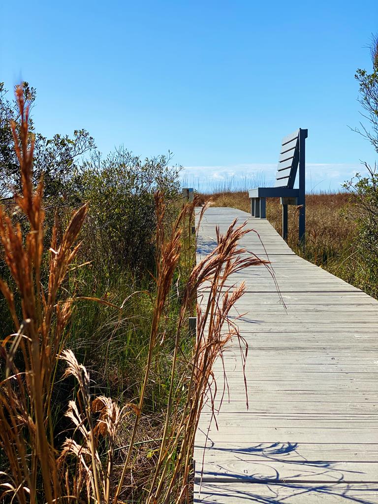 7 McCosh Mill Road Port St. Joe, FL 32456 - Photo 16 of 27