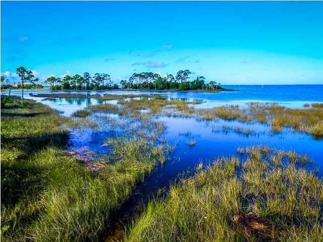 7 McCosh Mill Road Port St. Joe, FL 32456 - Photo 22 of 27