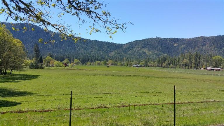 868 Ferry Road Grants Pass, OR 97526 - Photo 7 of 35 Additional Photo