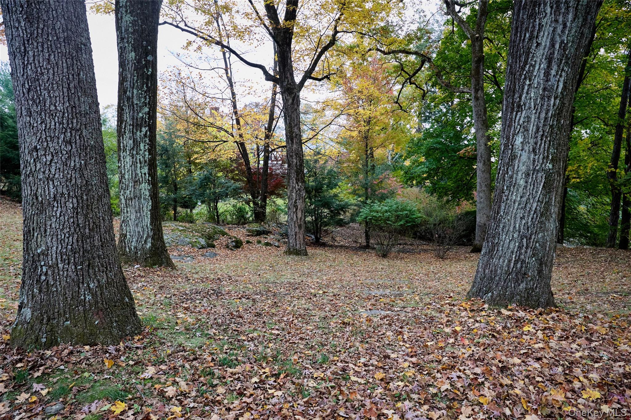 72 Lookout Road Tuxedo Park, NY 10987 - Photo 6 of 49 a backyard of a house with lots of green space