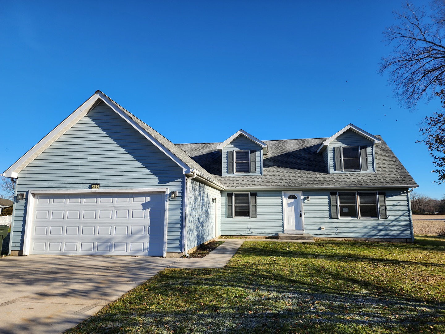 240 Mitchell Court Braidwood, IL 60408 - Photo 1 of 18 a front view of a house with a yard