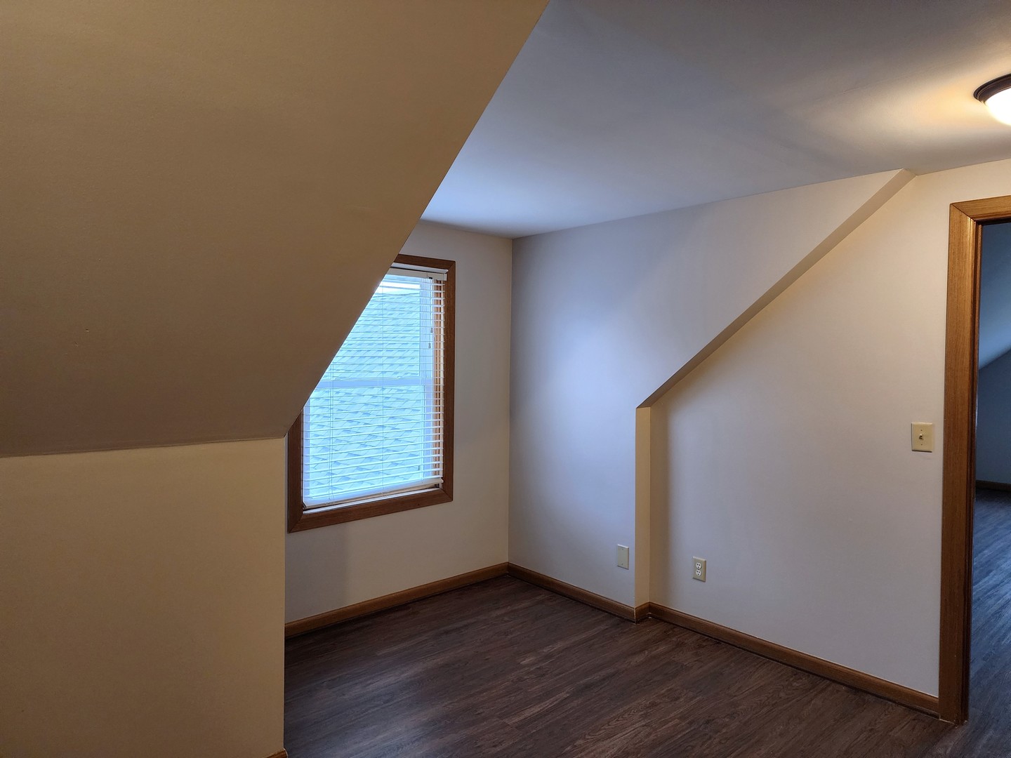 240 Mitchell Court Braidwood, IL 60408 - Photo 17 of 18 an empty room with wooden floor and windows