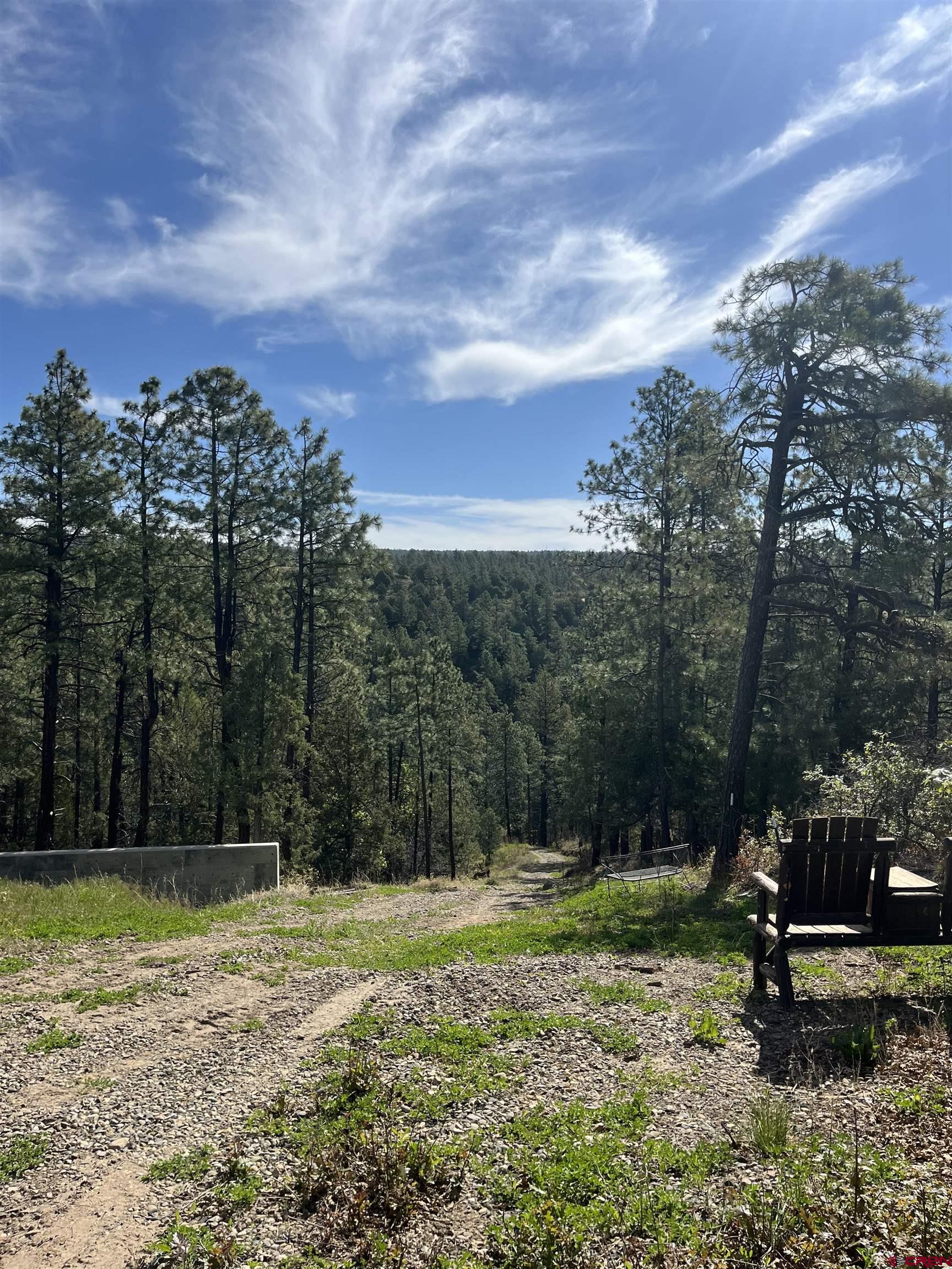 2444 Crooked Road Pagosa Springs, CO 81147 - Photo 1 of 22 a view of a yard with a trampoline