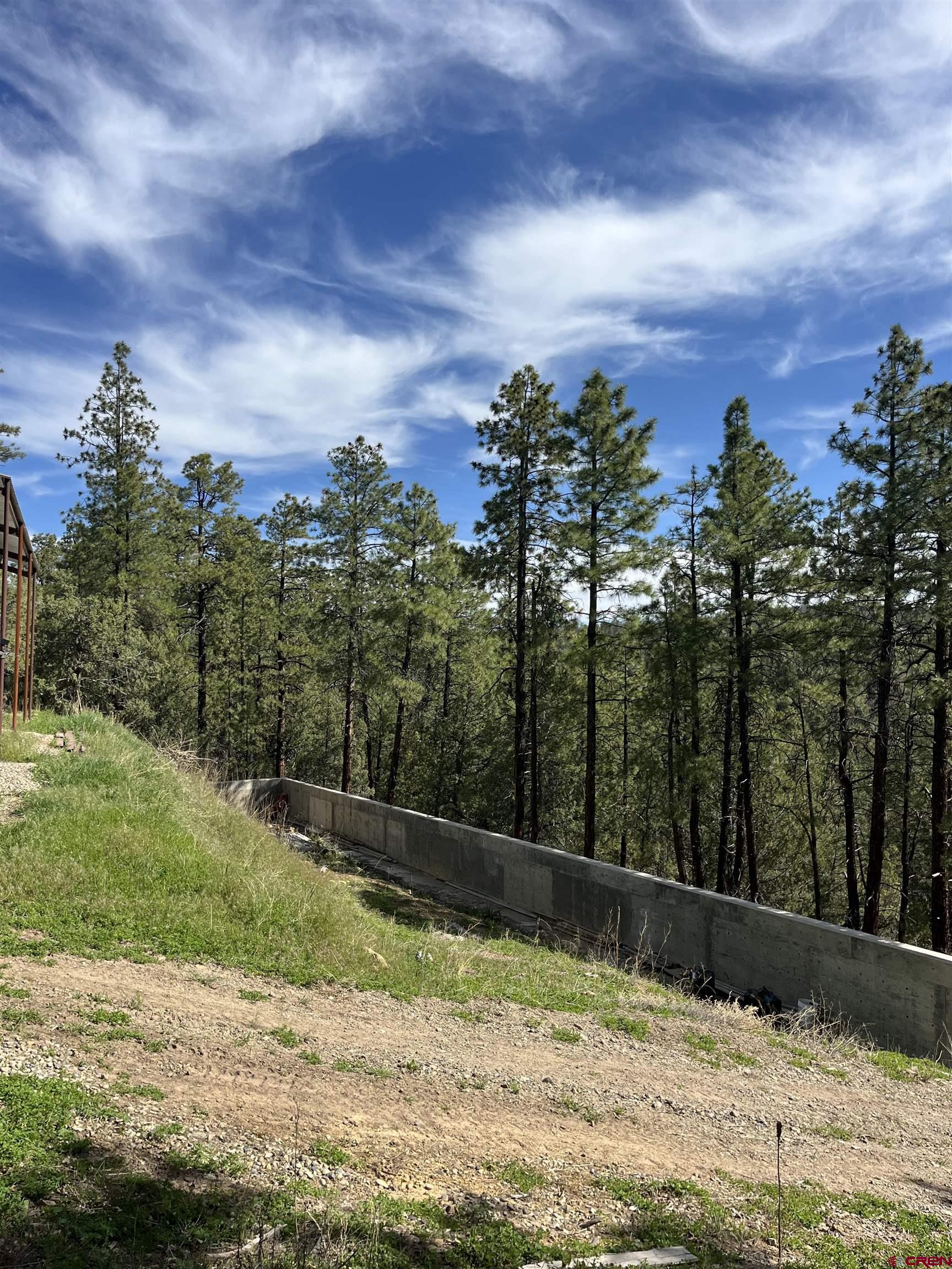 2444 Crooked Road Pagosa Springs, CO 81147 - Photo 2 of 22 a view of a yard