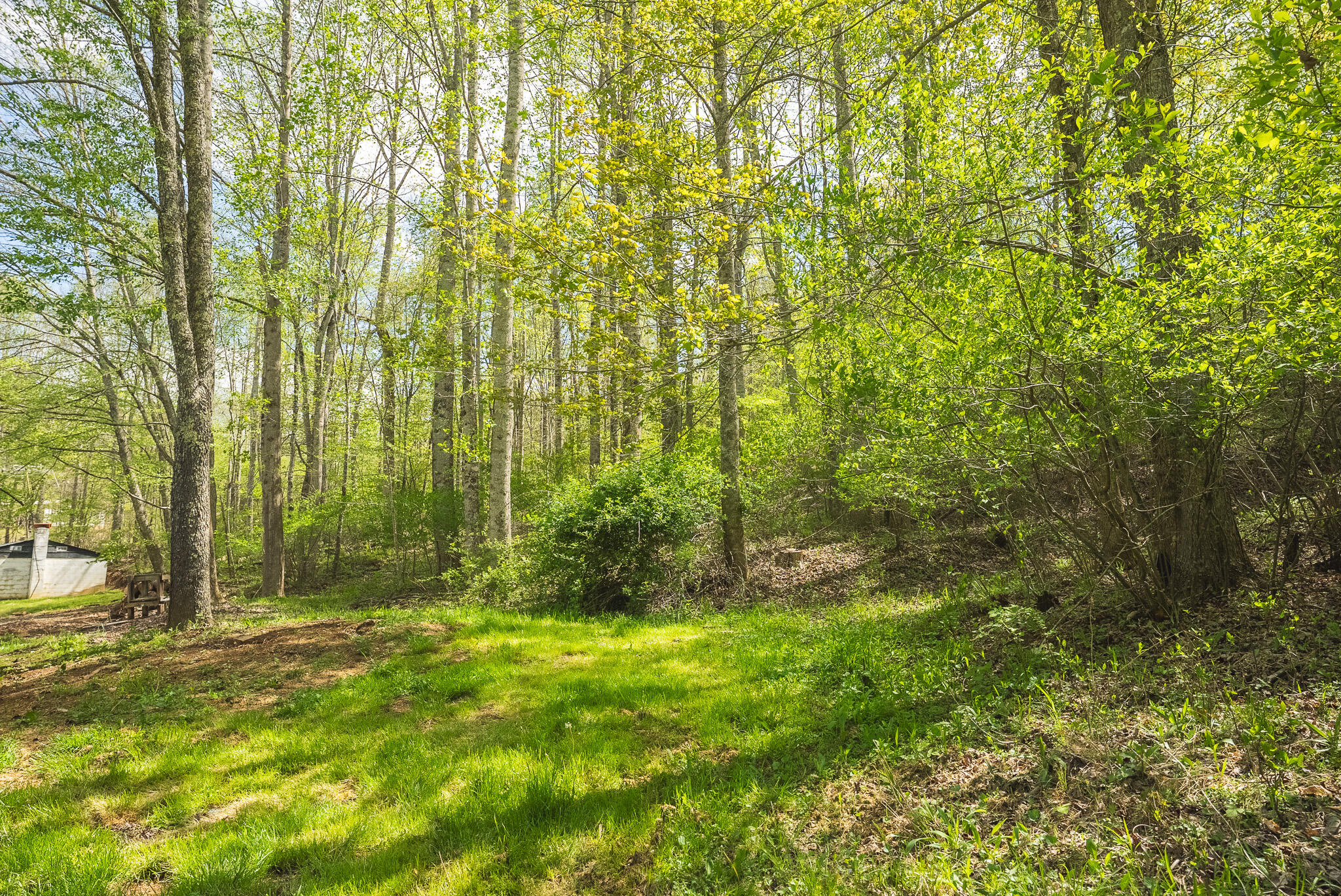 146 Duvall Road Willis, VA 24380 - Photo 20 of 62 DSC00811