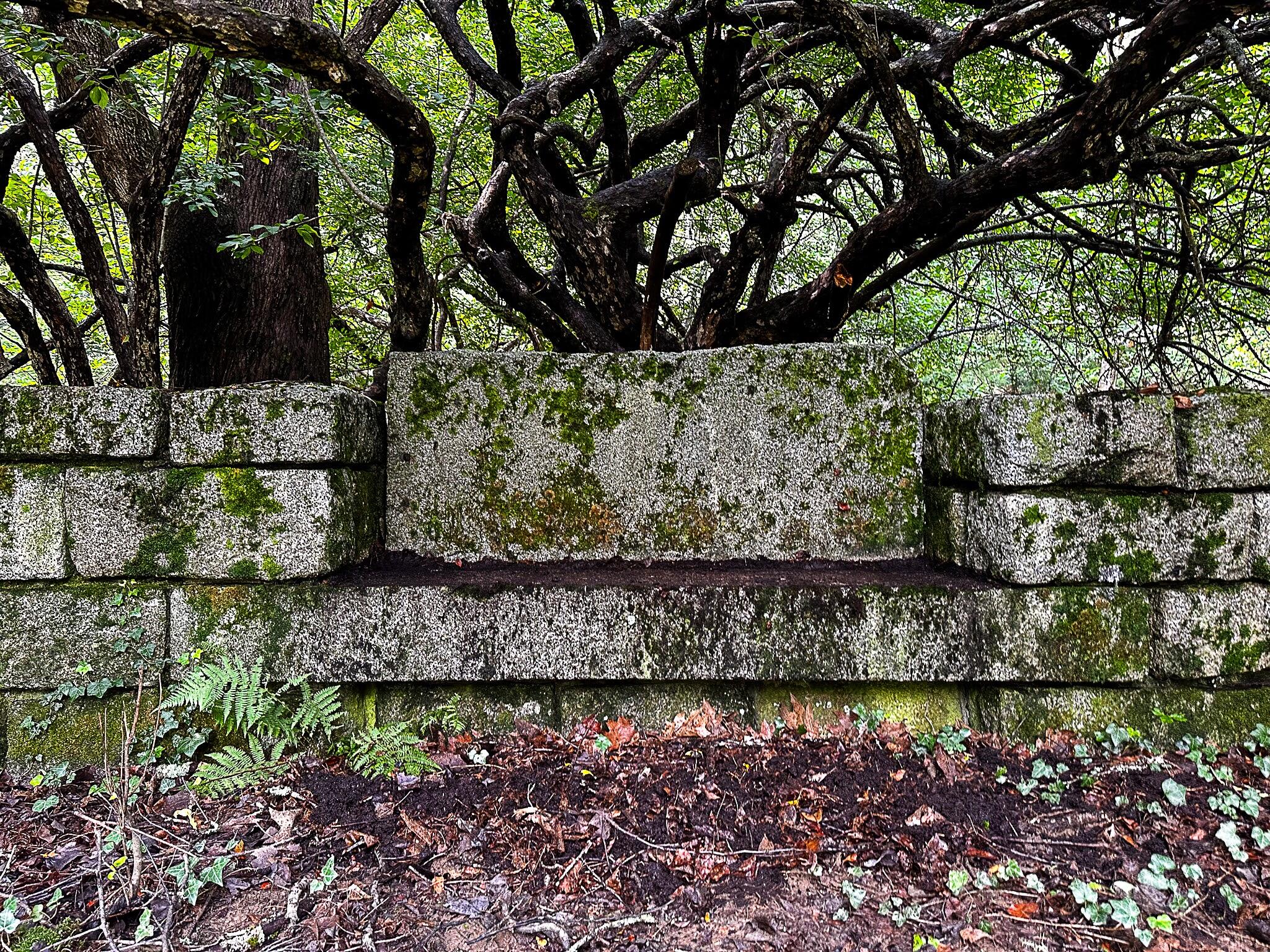 1319 Newbury Neck Road Surry, ME 04684 - Photo 47 of 68 Granite seat on south side of barn.