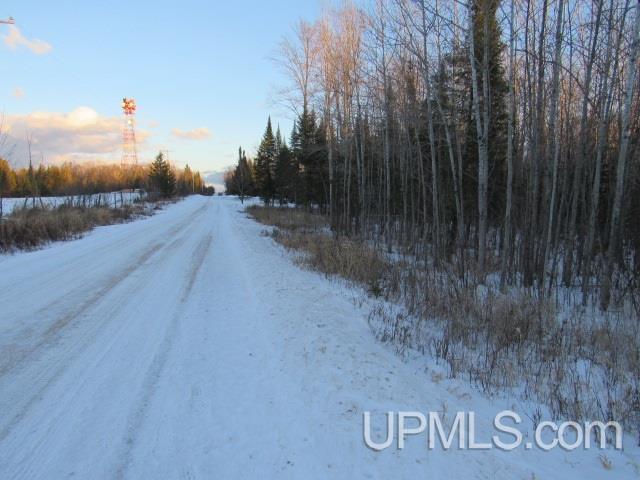 Tbd Tbd Tower Perkins, MI 49872 - Photo 2 of 22