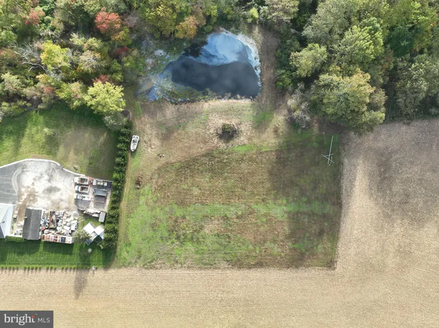 a view of a small yard