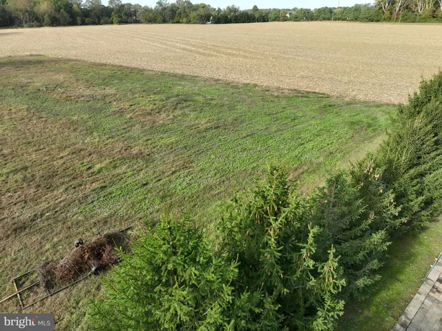 a view of a yard with a trees