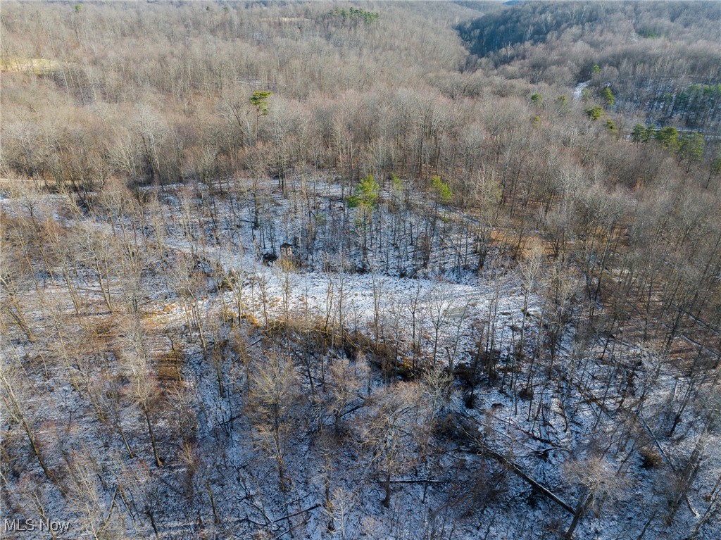 9 County Road New Matamoras, OH 45767 - Photo 1 of 48 Aerial view of property's location featuring a heavily wooded area
