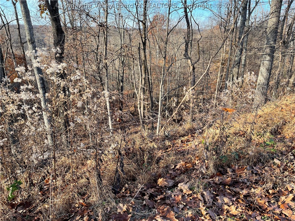 301 Rheva Lane Leon, WV 25123 - Photo 6 of 7 Gallery Image 6