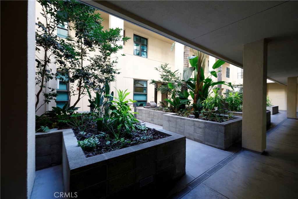 133 The Promenade North, Unit 426 Long Beach, CA 90802 - Photo 48 of 57 a living room filled with furniture and a potted plant