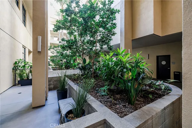 a potted plant in front of a door