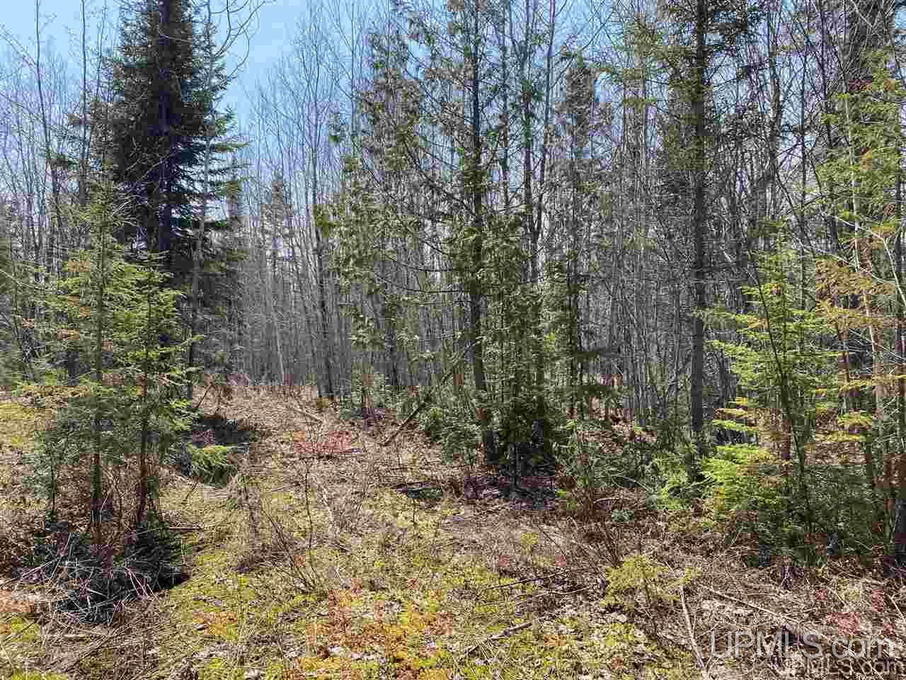 Tbd Mud Lake Road Lake Linden, MI 49945 - Photo 5 of 18