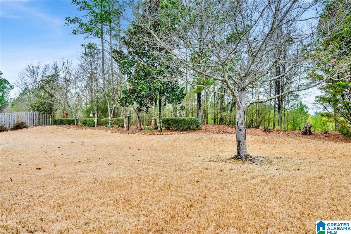 1101 Grande View Ridge Alabaster, AL 35114 - Photo 8 of 42 Gallery Image 8