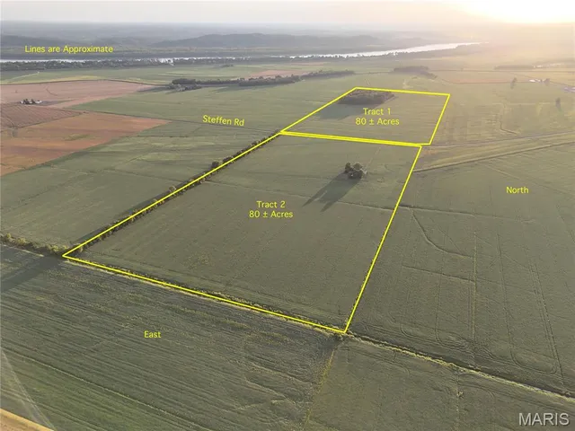 $875,000 | 2806 Steffen Road, Fults, IL 62244