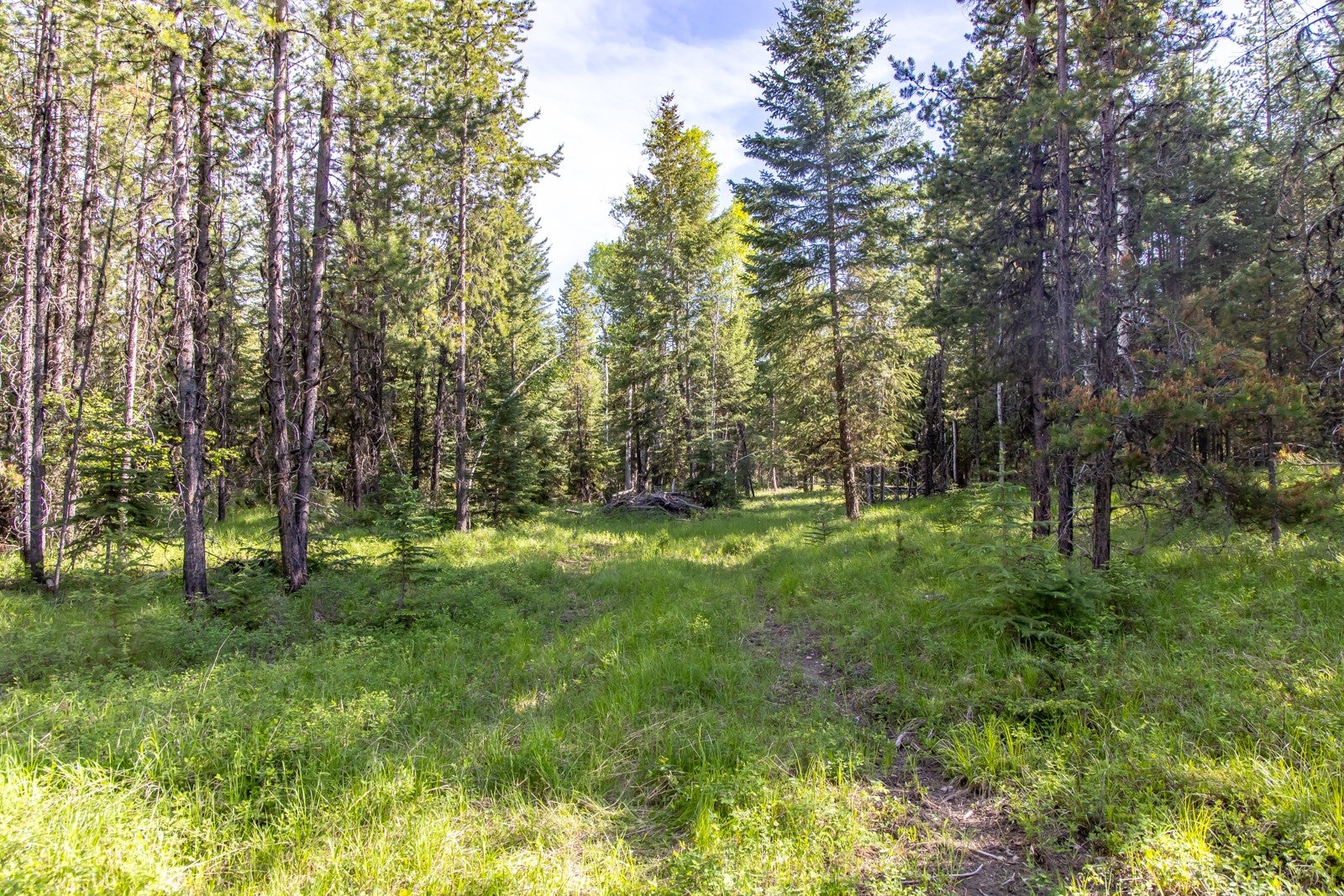 6999 Fortine Creek Road Trego, MT 59934 - Photo 18 of 32 Gallery Image 18