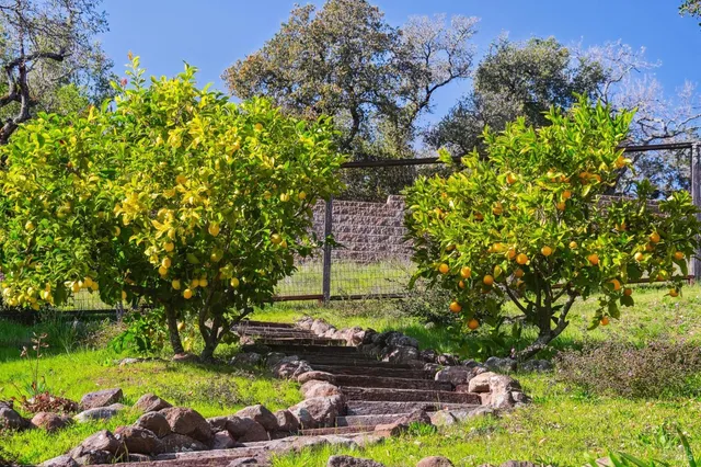 $1,750,000 | 11 Badger Court, Novato, CA 94949