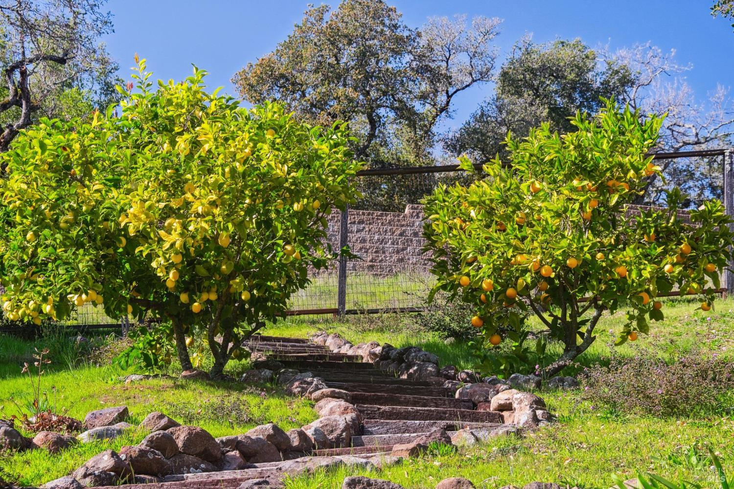 11 Badger Court Novato, CA 94949 - Photo 51 of 63
