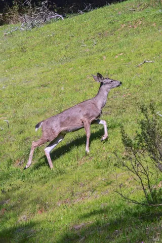$1,750,000 | 11 Badger Court, Novato, CA 94949
